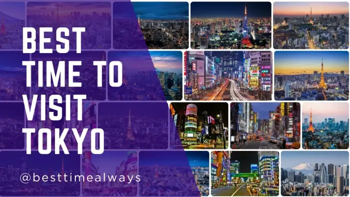 Best Time to Visit Tokyo