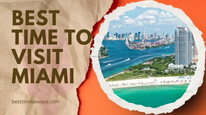 Best Time to Visit Miami