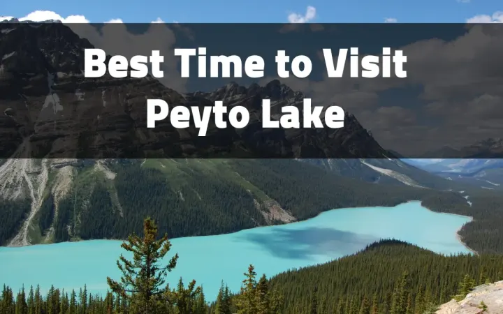Best Time to Visit Peyto Lake: Discover When to See Banff’s Turquoise Jewel